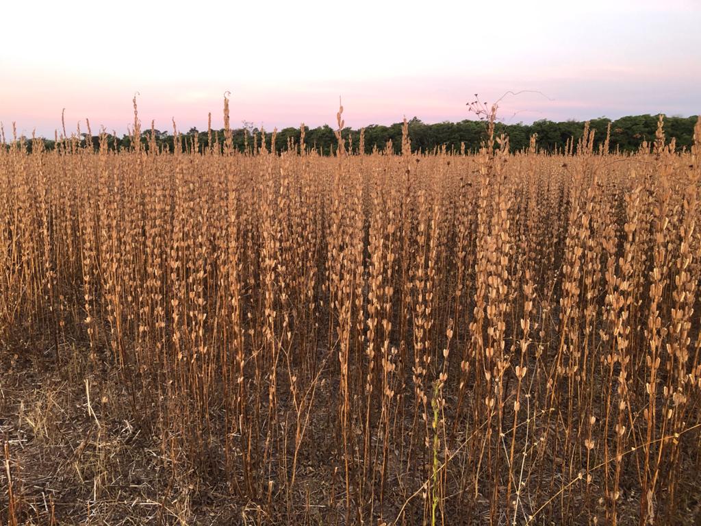 WhatsApp Image 2020-12-07 at 16.56.52 (1).jpeg